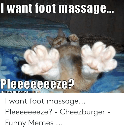 19 Cute and Funny Massage Memes With Cats - Full Body Massage